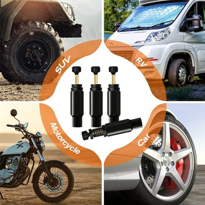 Automatic Tire Deflator
